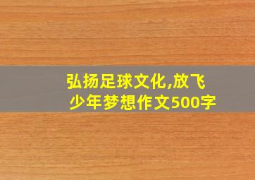 弘扬足球文化,放飞少年梦想作文500字