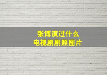 张博演过什么电视剧剧照图片