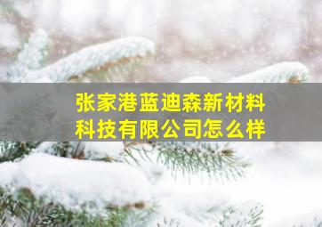 张家港蓝迪森新材料科技有限公司怎么样