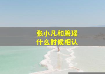 张小凡和碧瑶什么时候相认