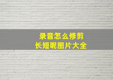 录音怎么修剪长短呢图片大全