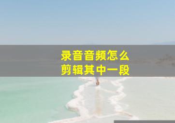 录音音频怎么剪辑其中一段