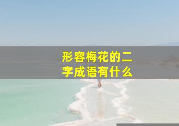 形容梅花的二字成语有什么