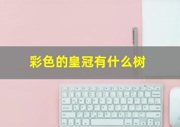 彩色的皇冠有什么树