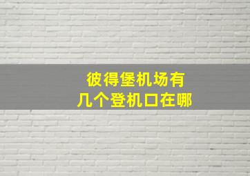 彼得堡机场有几个登机口在哪