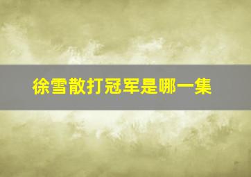 徐雪散打冠军是哪一集