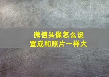 微信头像怎么设置成和照片一样大