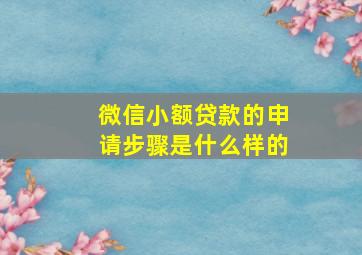 微信小额贷款的申请步骤是什么样的