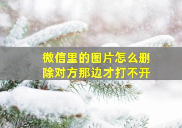 微信里的图片怎么删除对方那边才打不开