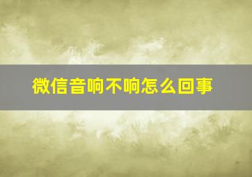 微信音响不响怎么回事