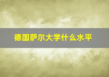 德国萨尔大学什么水平