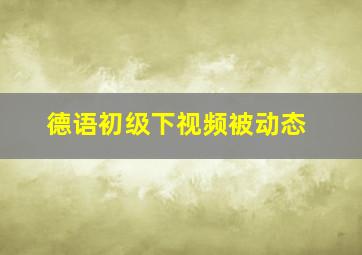 德语初级下视频被动态