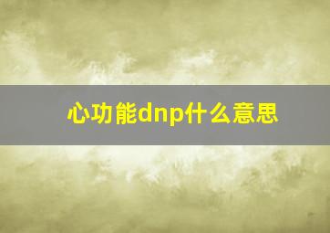 心功能dnp什么意思