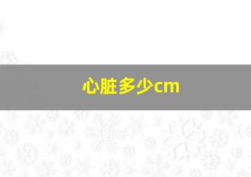 心脏多少cm