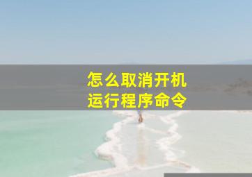 怎么取消开机运行程序命令