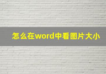 怎么在word中看图片大小