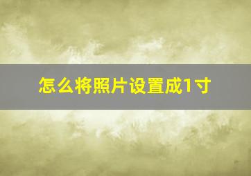 怎么将照片设置成1寸