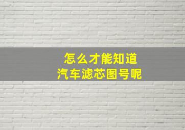 怎么才能知道汽车滤芯图号呢