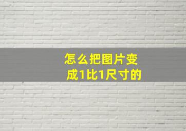 怎么把图片变成1比1尺寸的