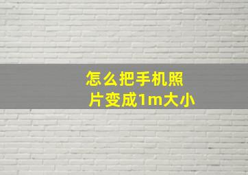 怎么把手机照片变成1m大小