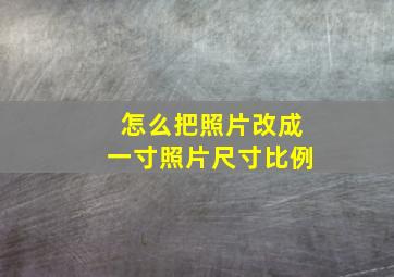 怎么把照片改成一寸照片尺寸比例