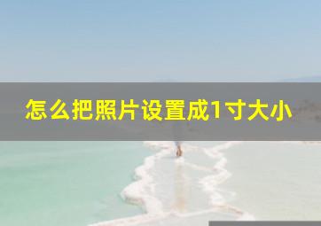 怎么把照片设置成1寸大小