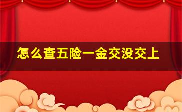 怎么查五险一金交没交上