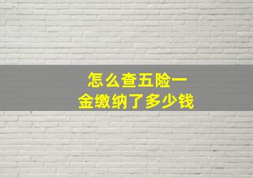 怎么查五险一金缴纳了多少钱