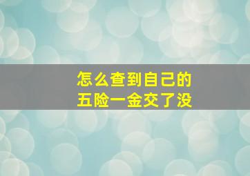 怎么查到自己的五险一金交了没