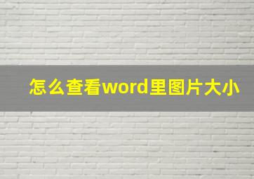 怎么查看word里图片大小