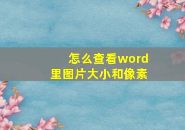 怎么查看word里图片大小和像素