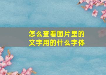 怎么查看图片里的文字用的什么字体