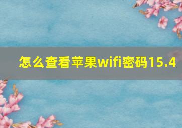 怎么查看苹果wifi密码15.4