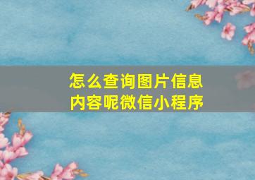 怎么查询图片信息内容呢微信小程序