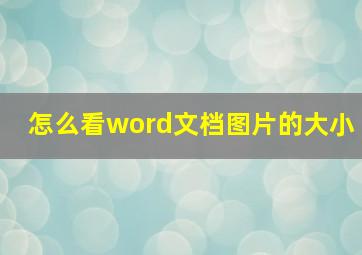 怎么看word文档图片的大小