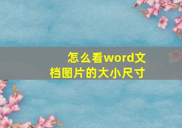 怎么看word文档图片的大小尺寸