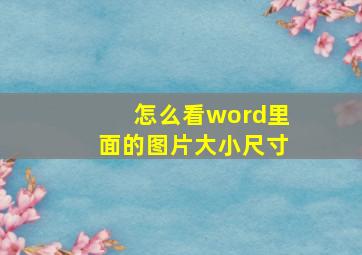 怎么看word里面的图片大小尺寸