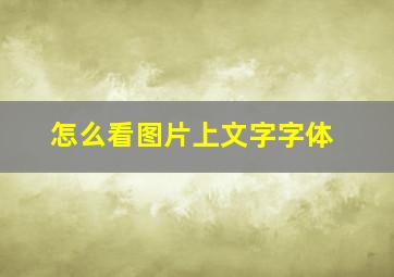 怎么看图片上文字字体