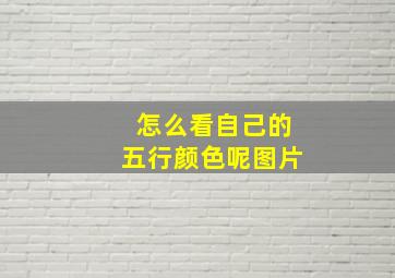 怎么看自己的五行颜色呢图片