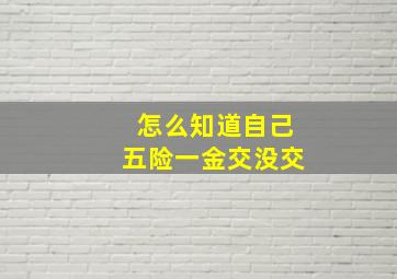 怎么知道自己五险一金交没交