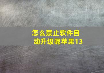 怎么禁止软件自动升级呢苹果13