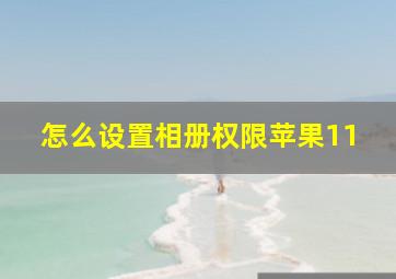 怎么设置相册权限苹果11