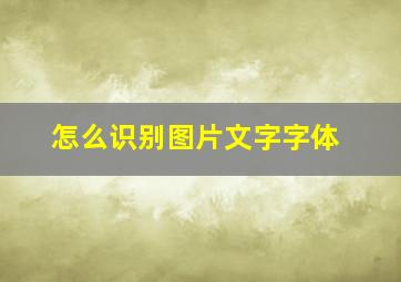 怎么识别图片文字字体