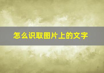 怎么识取图片上的文字