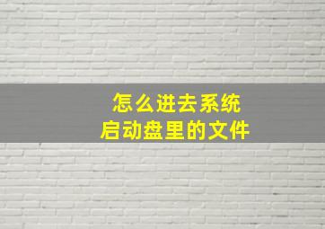 怎么进去系统启动盘里的文件