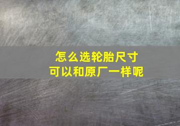 怎么选轮胎尺寸可以和原厂一样呢