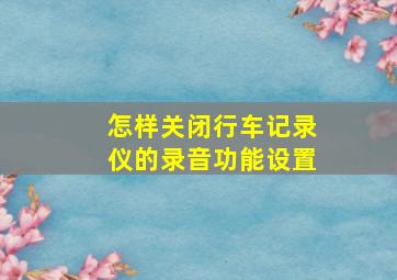 怎样关闭行车记录仪的录音功能设置