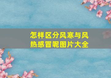 怎样区分风寒与风热感冒呢图片大全