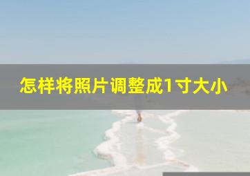 怎样将照片调整成1寸大小