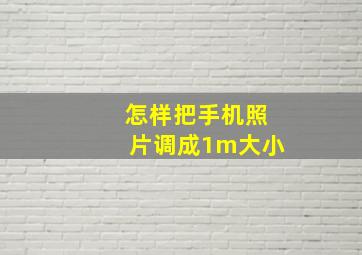 怎样把手机照片调成1m大小